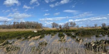 Sindaco Cassano allo Ionio: "La situazione resta critica"