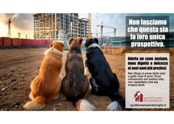 Di "Quattro Zampe in Famiglia"