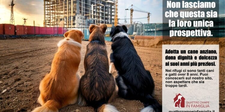 Di "Quattro Zampe in Famiglia"