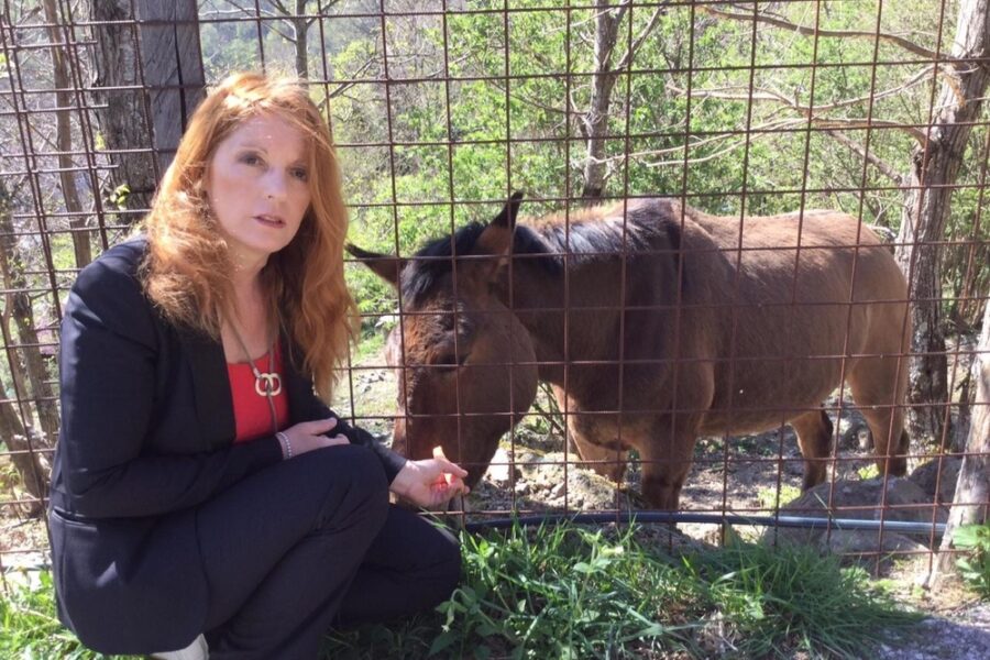 "Ho ricevuto attacchi da ogni parte d'Italia