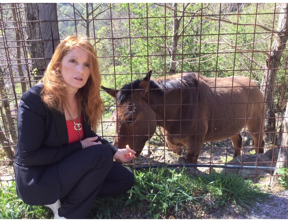 Pdl di Brambilla (Nm), Cavalli animali d’affezione, basta palio e macellazione