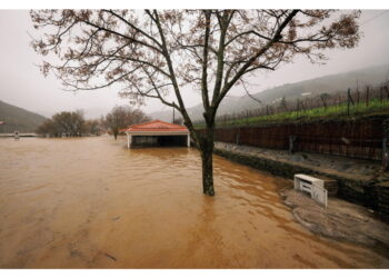 Continua a piovere e il fiume Mondego rompe gli argini a Coimbra