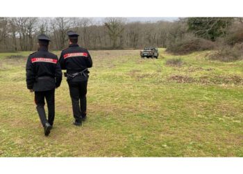 Una anno in abbreviato e 50mila euro a titolo di risarcimento