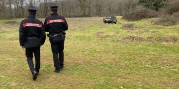 Una anno in abbreviato e 50mila euro a titolo di risarcimento