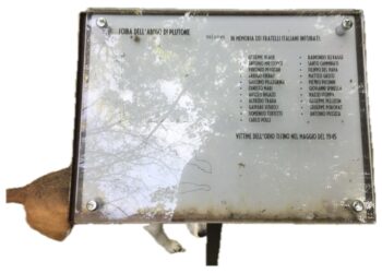 Ass.Venezia Giulia e Dalmazia