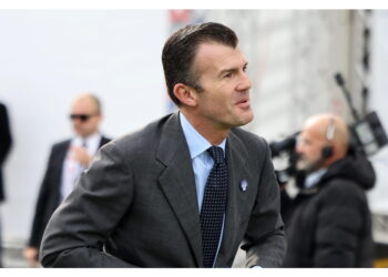 Diventa segretario generale dell'Organizzazione italo-latino americana