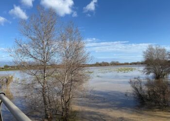 Misura precauzionale dopo esondazione del fiume Crati in due punti