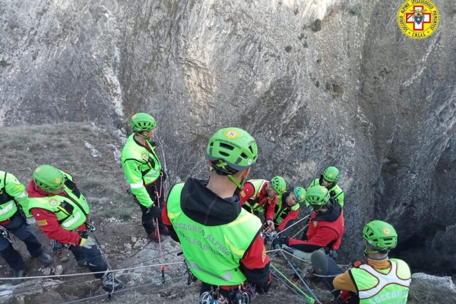 Nel 2025 recuperati 520 illesi