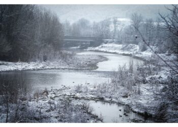 Le precipitazioni sono già in attenuazione