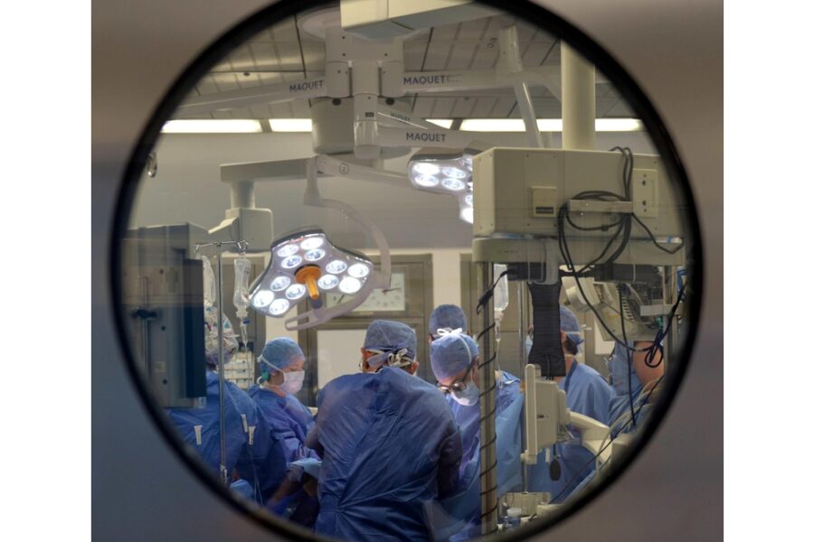 L'organo è andato a un piccolo di due anni