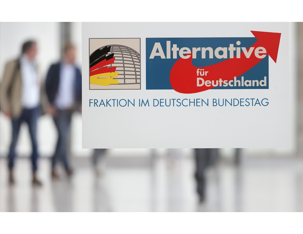 Tribunale tedesco sospende la definizione di Afd come gruppo estremista