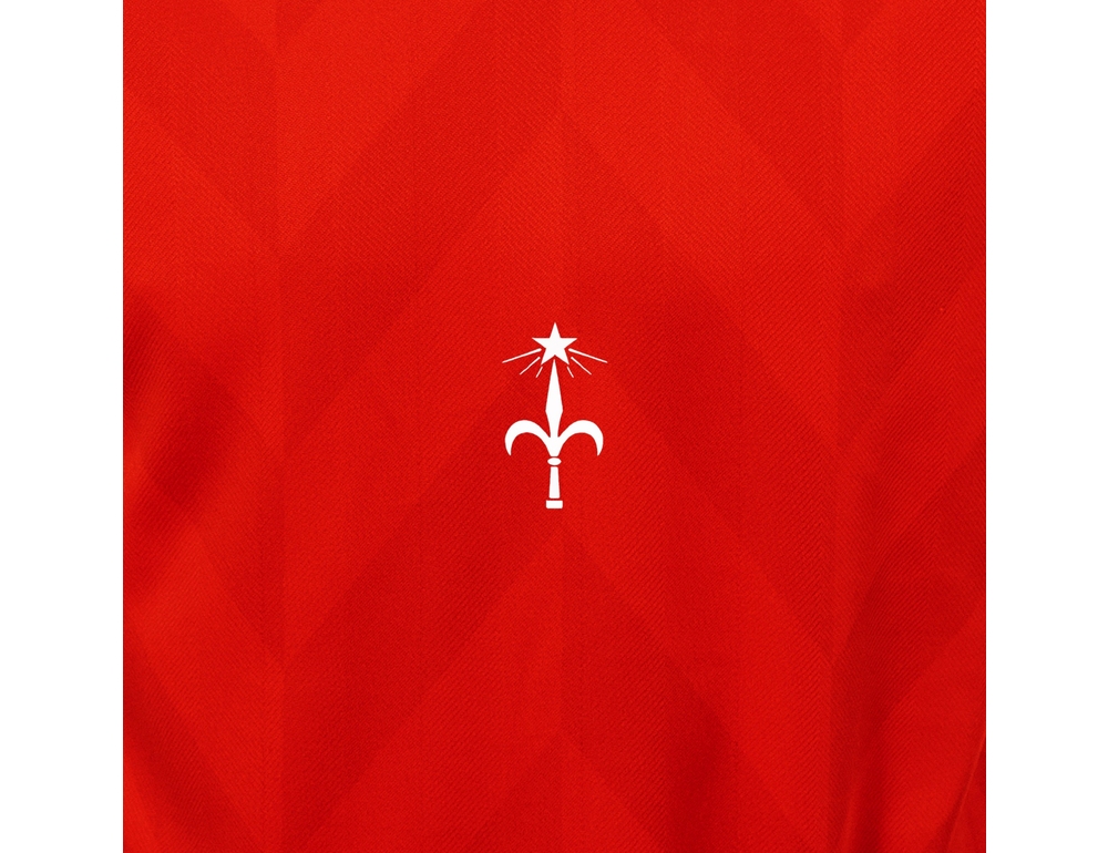 Triestina Calcio, nessun legame nuova proprietà con precedente dirigenza