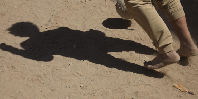 Il numero è cresciuto del 300% in cinque anni