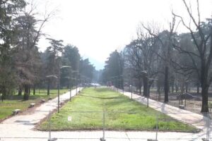 Nuova battaglia sui ciliegi, ora tocca ai Giardini a Lago. Gaddi e Nova Como: “Ripicca del sindaco contro i cittadini”