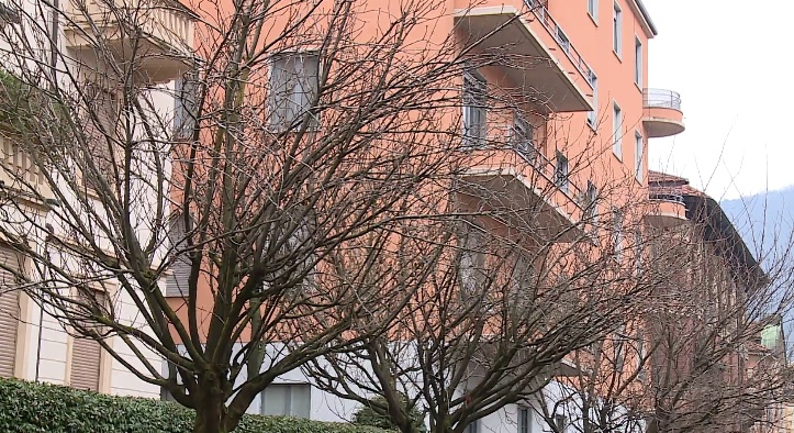 Como, la Soprintendenza ha deciso: i ciliegi non si toccano. Viale vincolato, il Comune non potrà sostituirli con i peri