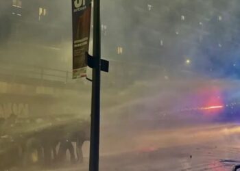 manifestazione Milano