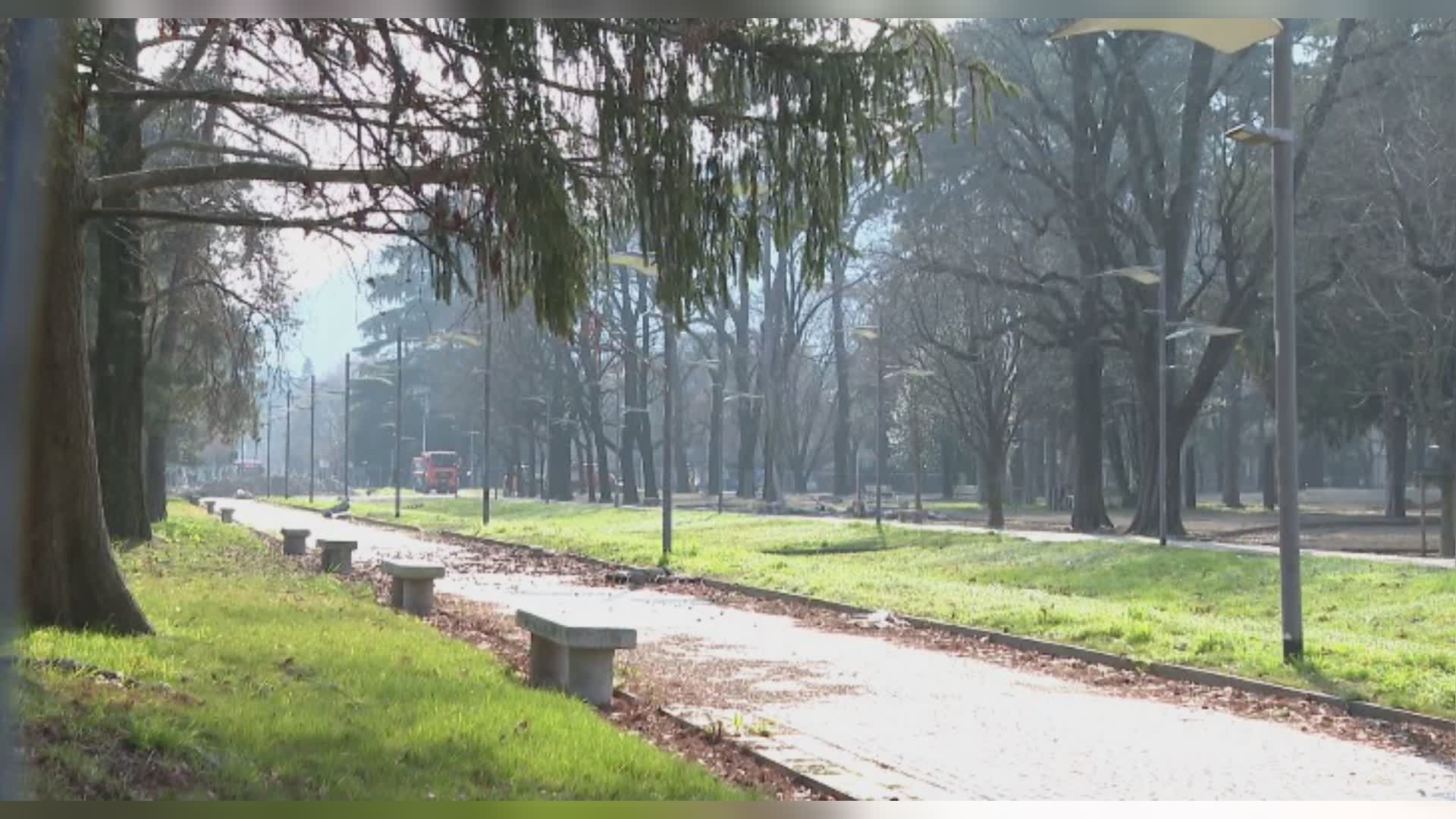 Giardini a Lago di Como, il Pd: “Ciliegi abbattuti senza autorizzazioni”