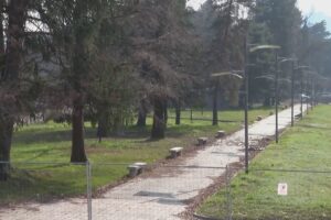 Scontro sui ciliegi del Tempio Voltiano di Como. Rapinese: “Bugie”. Gaddi: “Da lui solo palle spaziali”