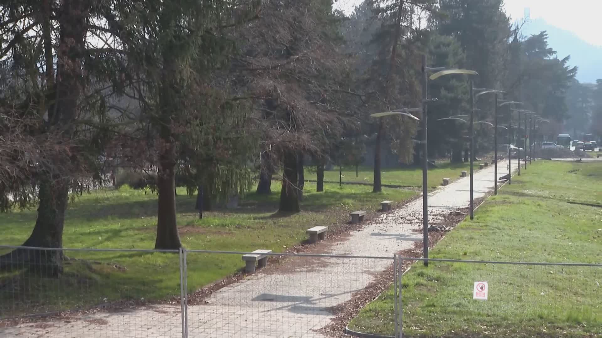 Scontro sui ciliegi del Tempio Voltiano di Como. Rapinese: “Bugie”. Gaddi: “Da lui solo palle spaziali”