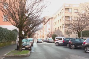 Ciliegi di via XX Settembre, il Comune di Como porta la Soprintendenza davanti al Tar