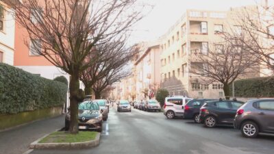 Ciliegi di via XX Settembre, il Comune di Como porta la Soprintendenza davanti al Tar