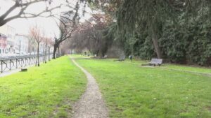 Controlli della polizia