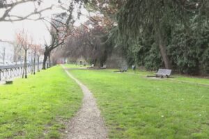 Controlli della polizia