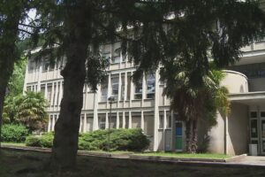 Erba sintetica nei cortili delle scuole, Europa Verde chiede lo stop al progetto del Comune