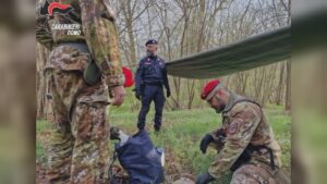 Controlli straordinari contro lo spaccio nei boschi: a Casnate con Bernate arrestato un 27enne