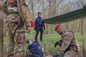 Controlli straordinari contro lo spaccio nei boschi: a Casnate con Bernate arrestato un 27enne