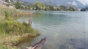 Rischio inquinamento per fiume Lambro e lago di Pusiano. L’allarme del Circolo “Ilaria Alpi”