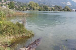 Rischio inquinamento per fiume Lambro e lago di Pusiano. L’allarme del Circolo “Ilaria Alpi”