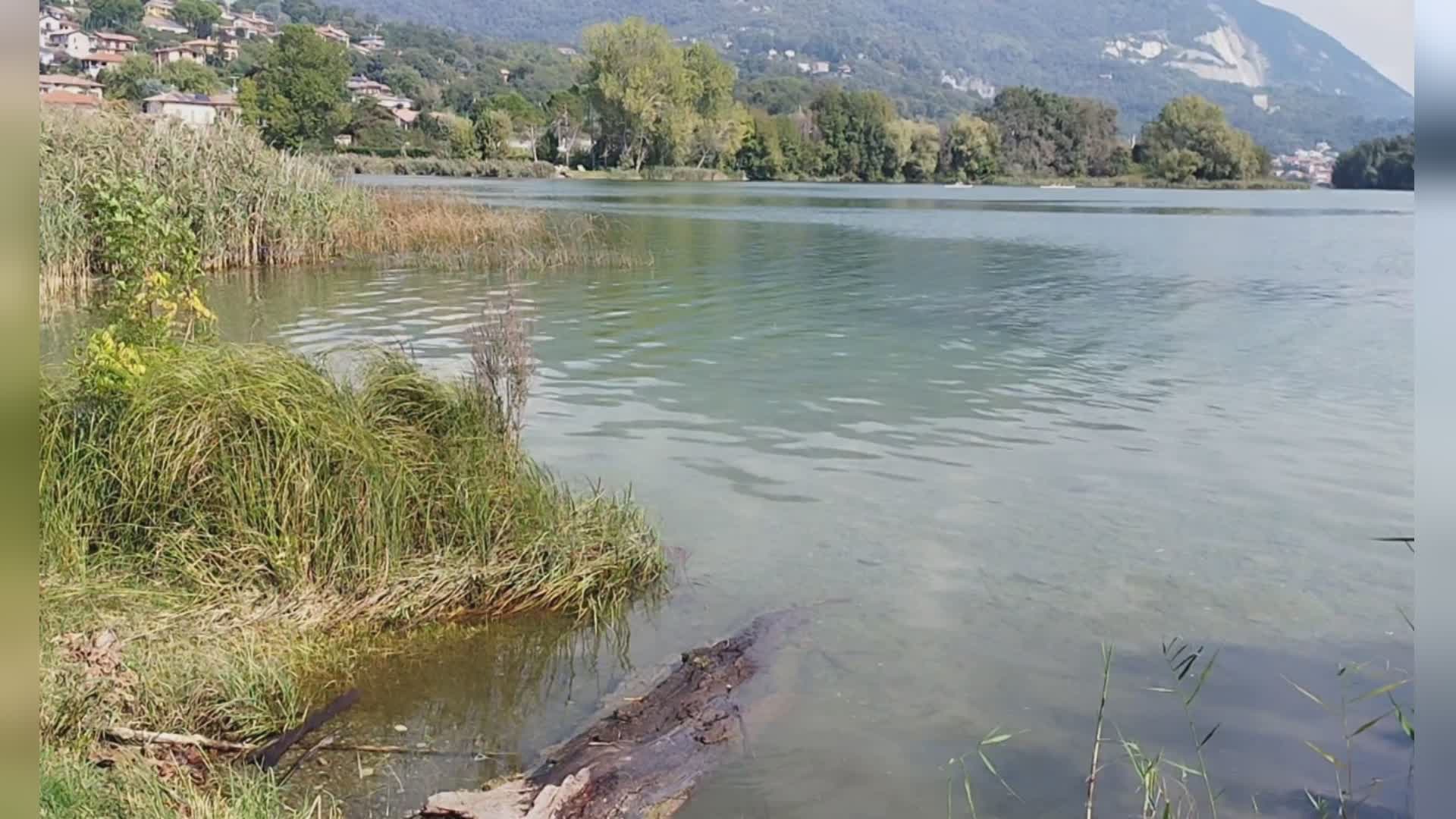 Rischio inquinamento per fiume Lambro e lago di Pusiano. L’allarme del Circolo “Ilaria Alpi”