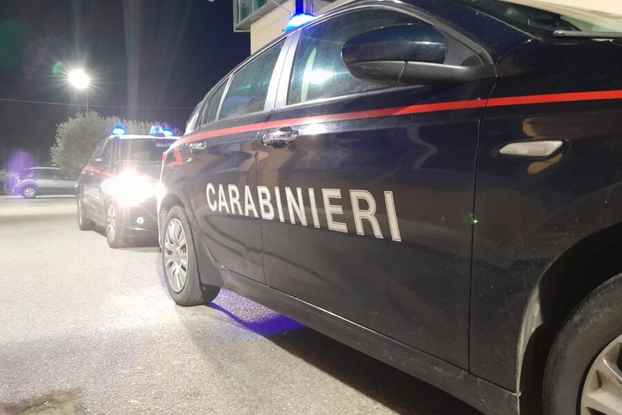 I carabinieri stanno indagando per rintracciare l'autore e risalire al movente del gesto
