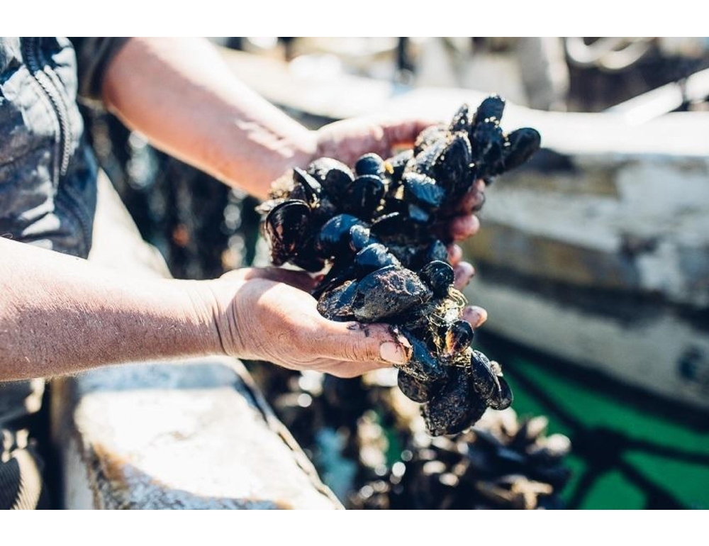 Al Cotugno di Napoli 60 ricoverati con l’epatite A, a marzo finora 89 casi