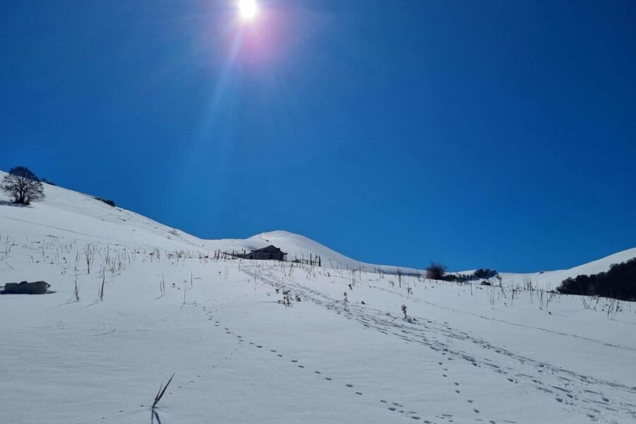 Nella stagione in corso 62 incidenti