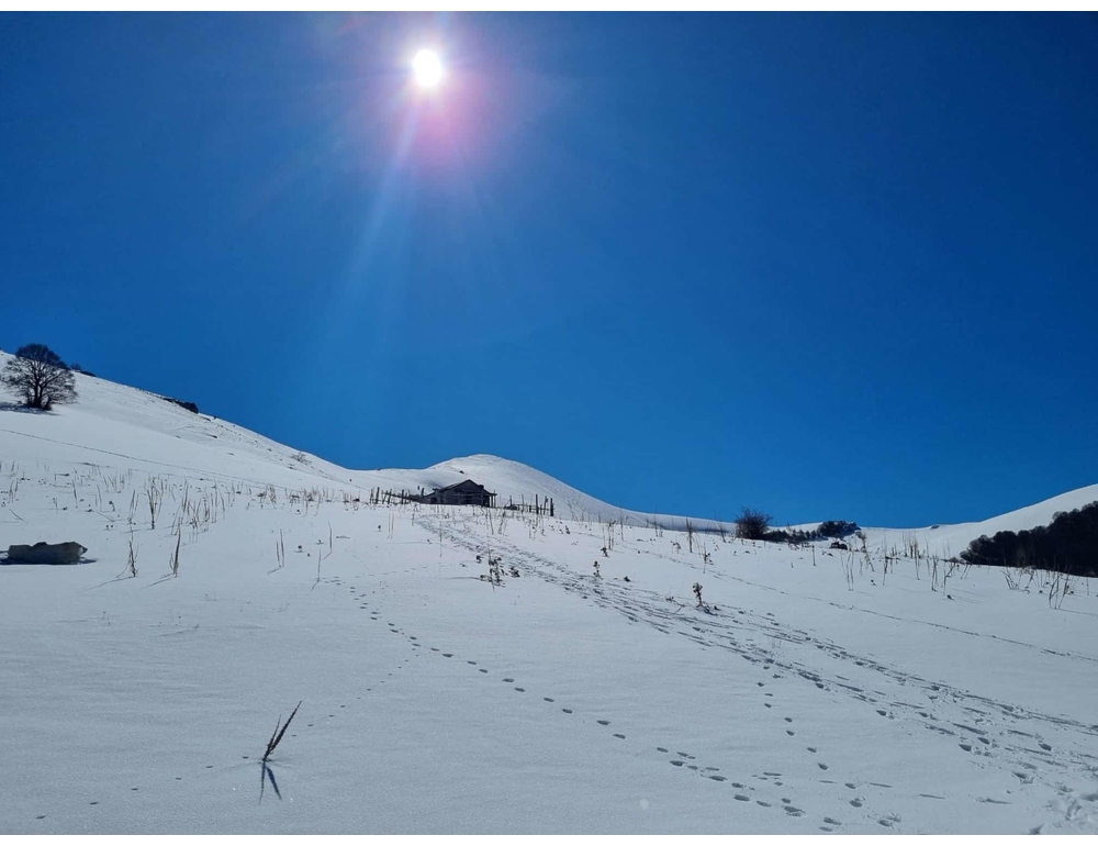 Anno nero per le valanghe, il 29 marzo evento di formazione