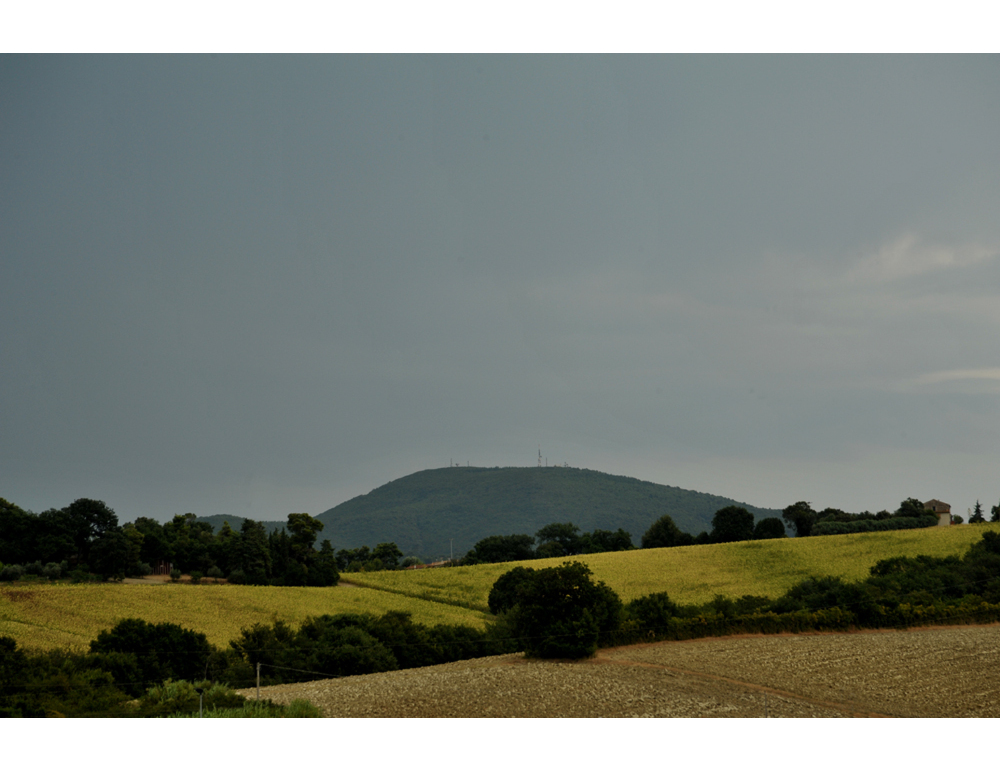 Anticipo di primavera con temperature fino a 20° C su tutta l’Italia