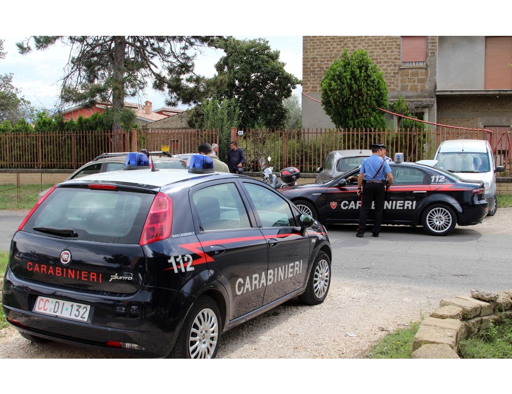 Bimba di 2 anni aggredita da pitbull, operata al Policlinico di Bari