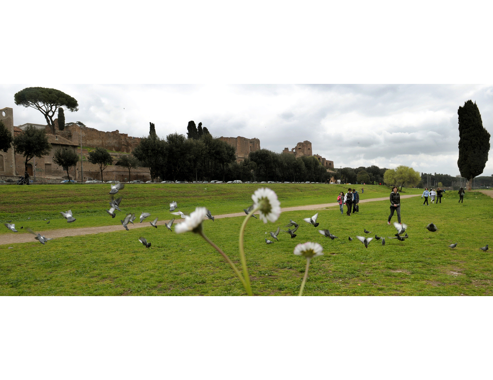 Breve schiarita, poi ancora pioggia e vento