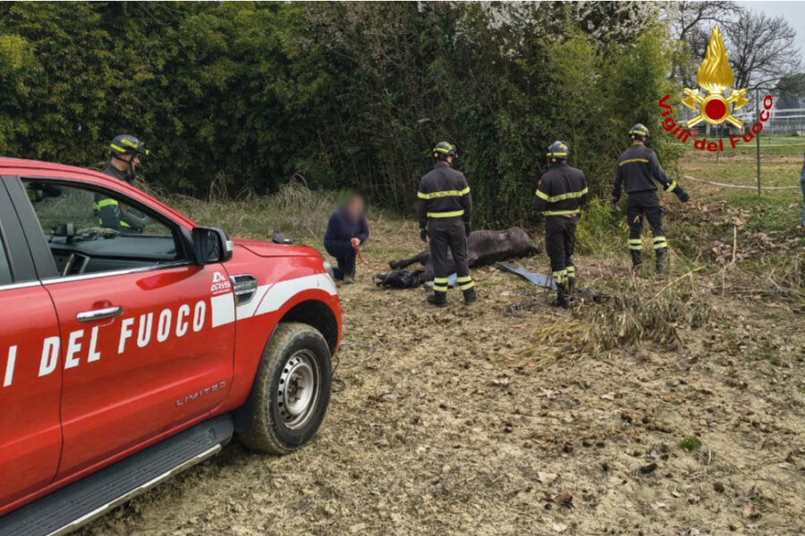 Intervento nel Pordenonese