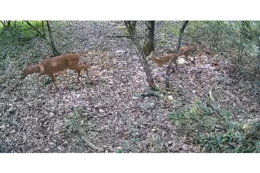 Su un sentiero ciclopedonale a Pontida