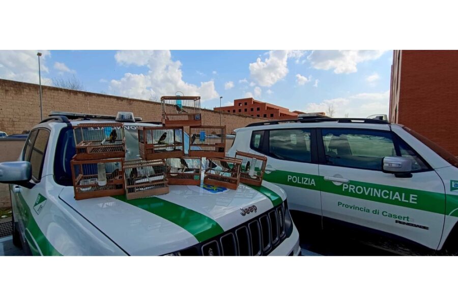 Nel Casertano blitz della polizia provinciale
