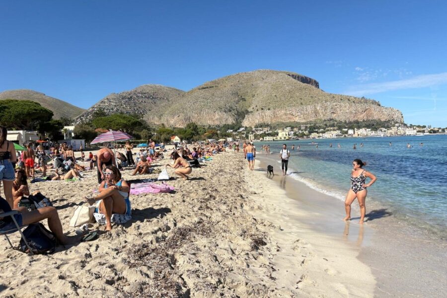 Assessore: "Stiamo predisponendo convenzioni per il servizio di salvataggio"