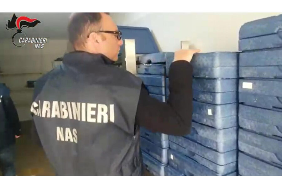 Due sospese a Napoli e Brescia perchè infestate da insetti