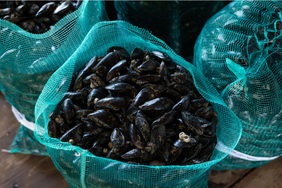 Si teme un calo dei consumi anche in vista della Pasqua quando c'è massima richiesta
