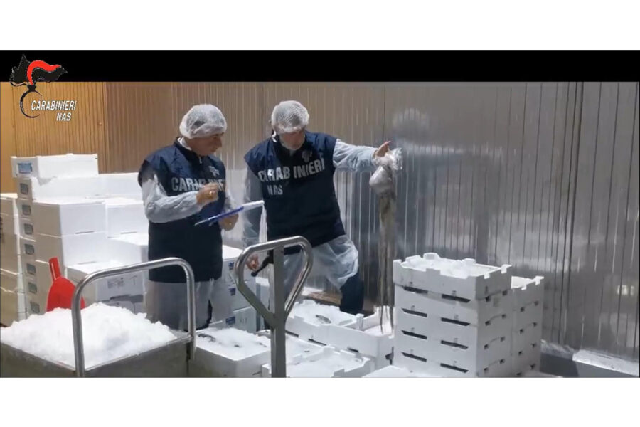 Prelievi a campione anche in punti vendita sushi finalizzati a controlli