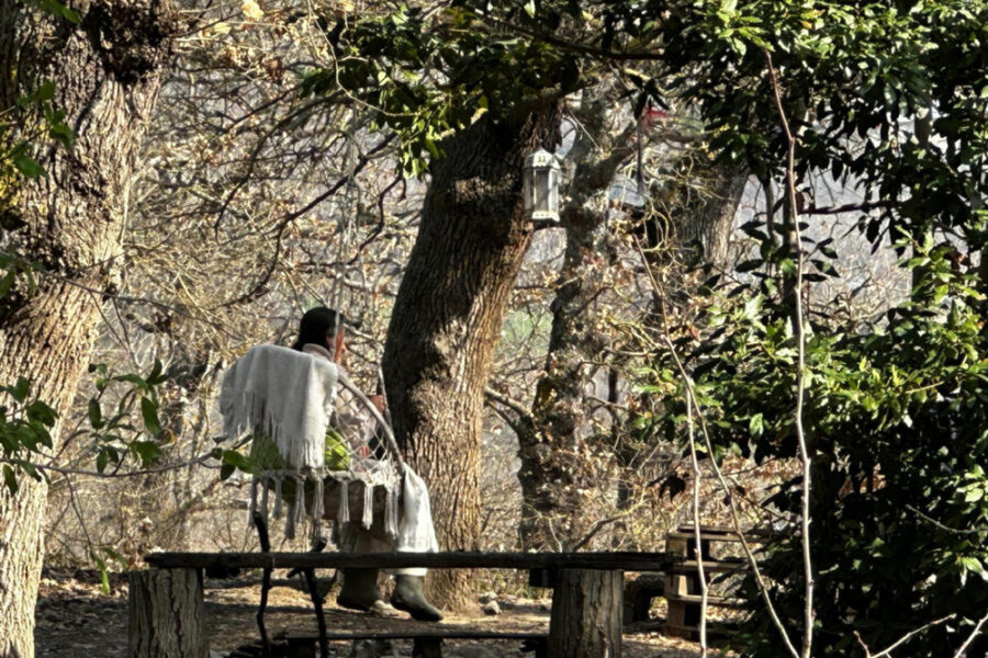 'Contro di lei una gogna mediatica'