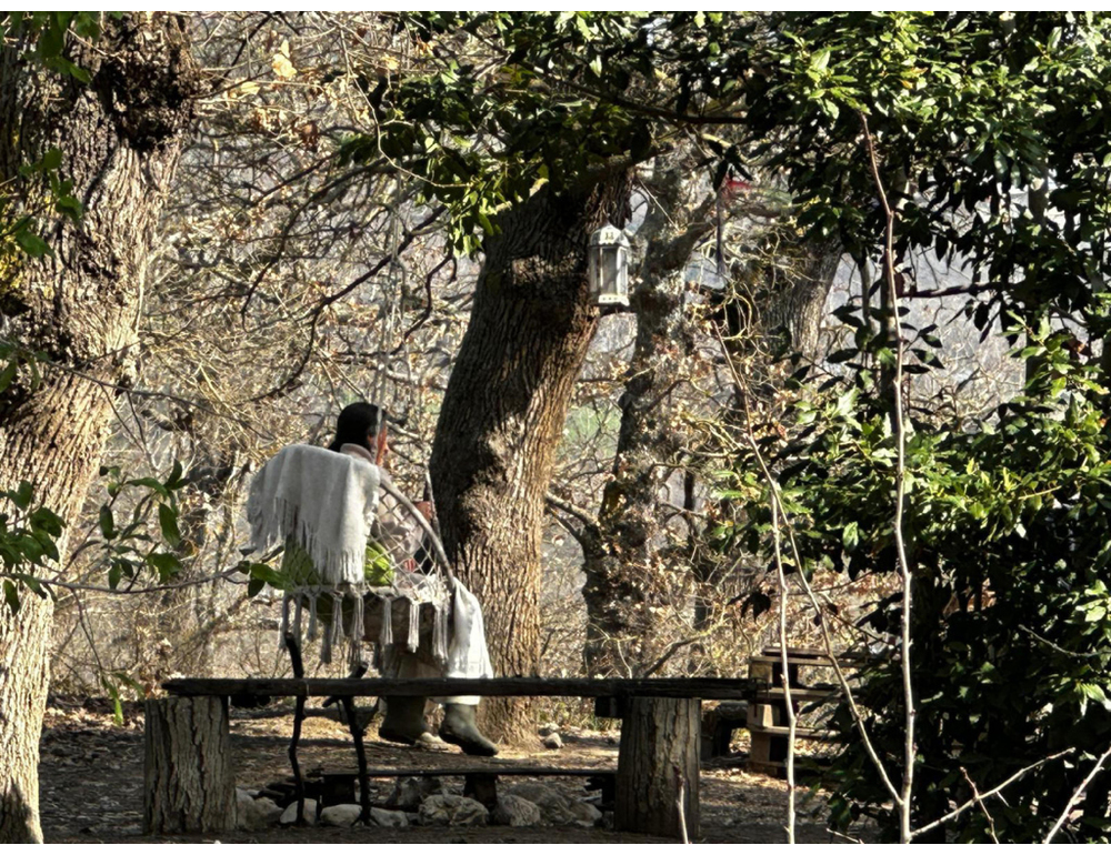 Famiglia del bosco: il ricorso, la mamma dipinta come una strega