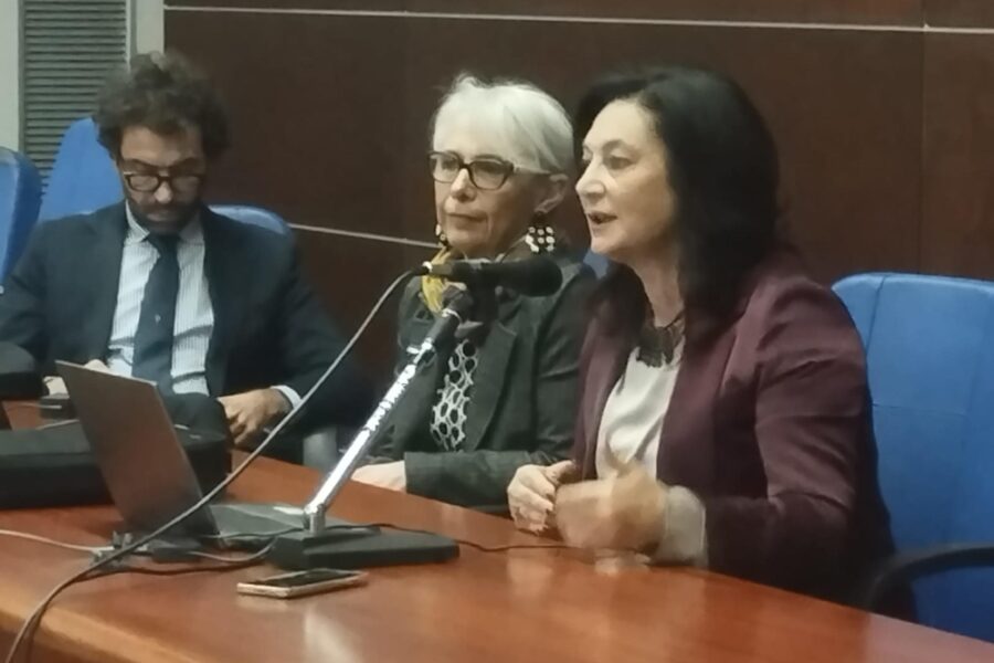 Cecilia Angrisano finì sotto attacco con minacce e insulti sui social